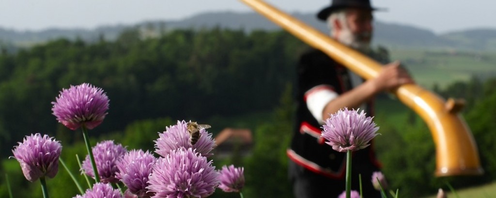 [:bg]Швейцарски билки и подправки[:en]Swiss herbs and spices[:]