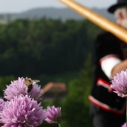 [:bg]Швейцарски билки и подправки[:en]Swiss herbs and spices[:]