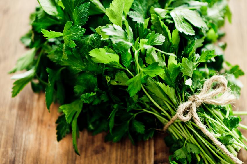 Parsley from Switzerland