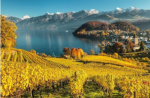 Swiss wines